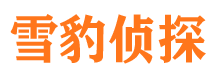 来宾寻人公司